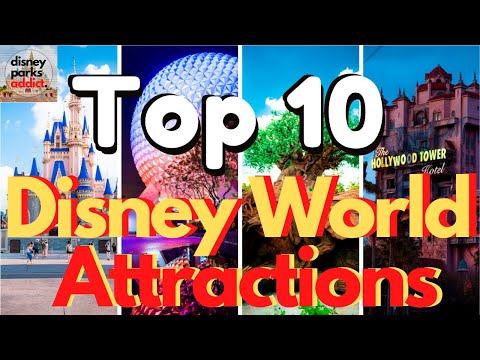 Video: The 10 Best Things to Do at Disney World