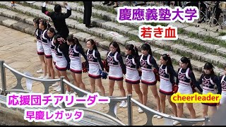 慶應義塾大学 若き血 応援団チアリーダーcheerleader 早稲田大学 - YouTube