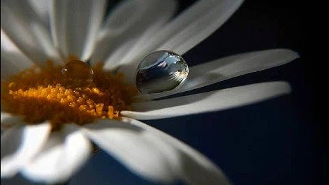 تلاوة جميلة جدا من سورة الفرقان - للمتميز مشاري العفاسي