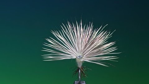 Fly Tying the Sparkle Mayfly Dun with Barry Ord Clarke
