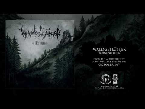 WALDGEFLÜSTER - Ruinenfelder (Official premiere 2016)