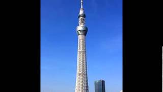 Top 3 Der größte Gebäude der Welt
