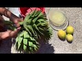 Артишок как правильно очистить и готовить!How to cook and eat artichokes