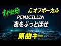 【フリー】夜をぶっとばせ/PENICILLIN オフボーカル 原曲キー フル歌詞付き カラオケ