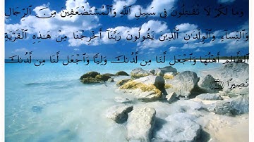 سورة النساء * عبد الله خياط