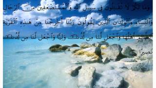 سورة النساء * عبد الله خياط