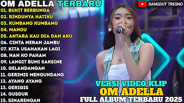 BUKIT BERBUNGA - RINDUNYA HATIKU - NAN KO PAHAM - Difarina Indra - FULL ALBUM ADELLA TERBARU 2025