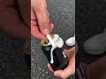 viral video 🤯🔥🔥