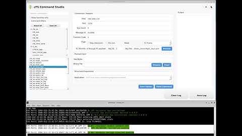 Web Sensing Protecting Space Assets
