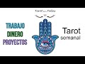 🤑Tarot TRABAJO DINERO Y PROYECTOS semana 13 FEBRERO 2023💞Tarot para todos🔮TpTTarot🌟#tarotparatodos