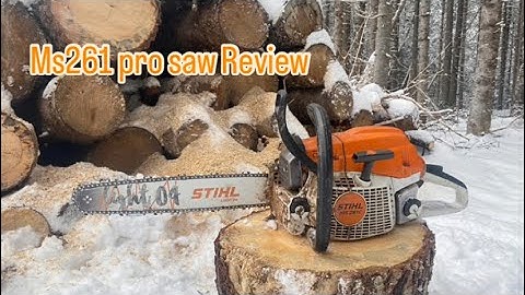 Why I chose the STIHL ms261 Pro Saw over the ms291 Farm Boss.