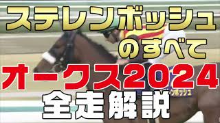 【ステレンボッシュのすべて】（オークス2024）新馬戦から前走までのレースぶりを振り返ってみました