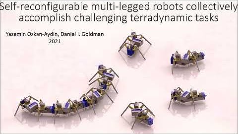 Self-Reconfigurable Multilegged Robot Swarms