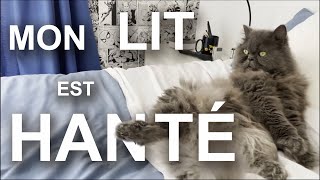 MON LIT EST HANTÉ (feat. Davy Mourier)