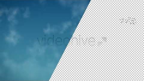 Flock of Birds - Motion Graphics