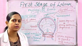 First stage of labour/ Definition/ phases/ Physiological events/ Important for all nursing exams screenshot 4