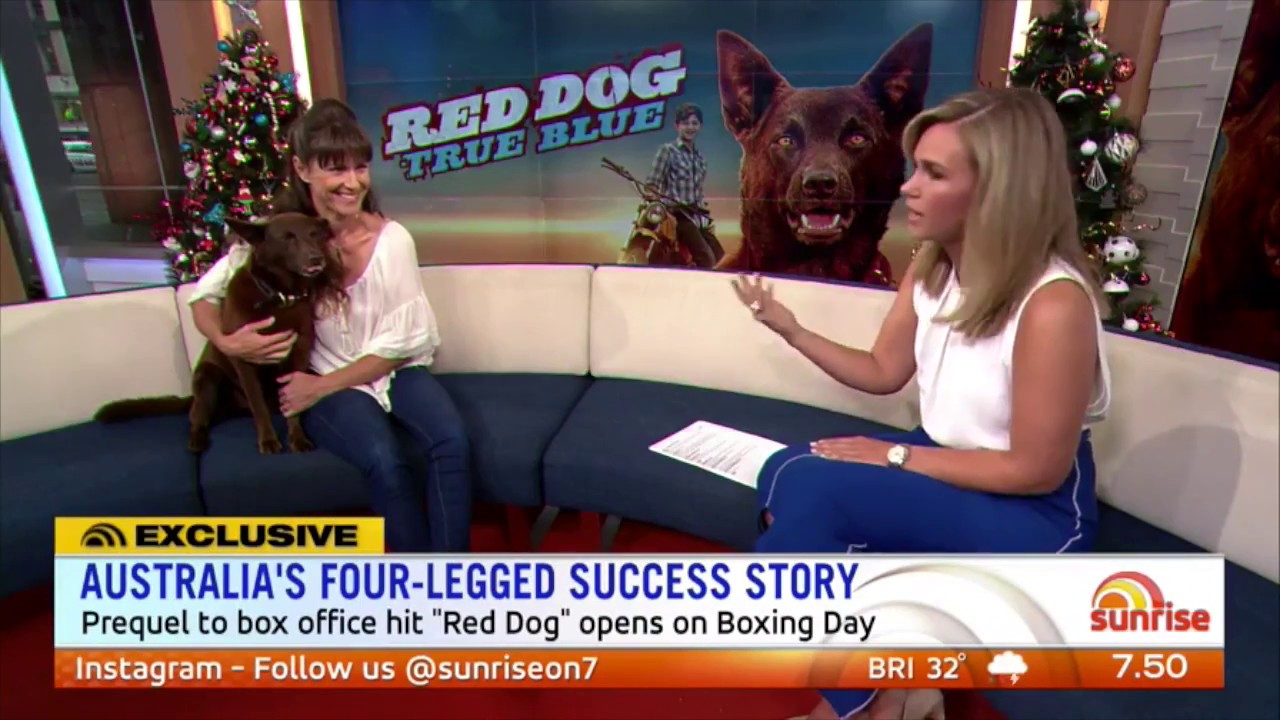 Was Red Dog Based On A True Story