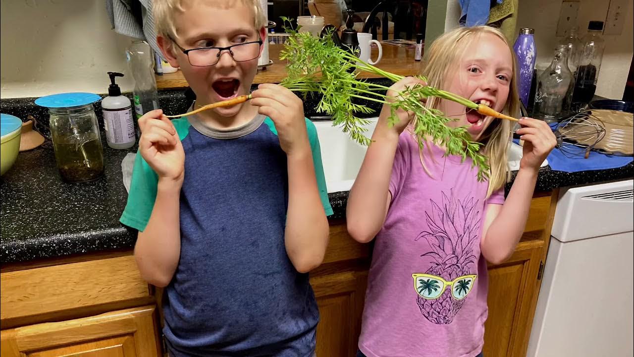 Blackberries, Potatoes, Carrots, and Poop! YouTube