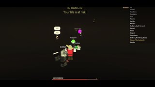 Funny jester edict moment
