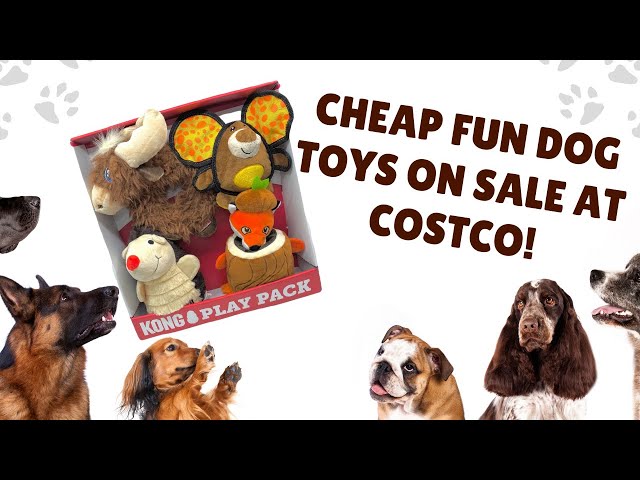 Kong Play Pack Dog Toys Unboxing