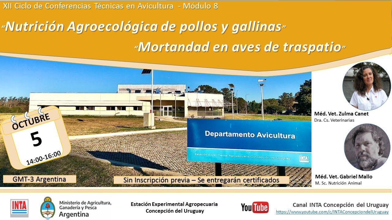 Avicultura: Nutrición agroecológica y mortandad en aves de traspatio