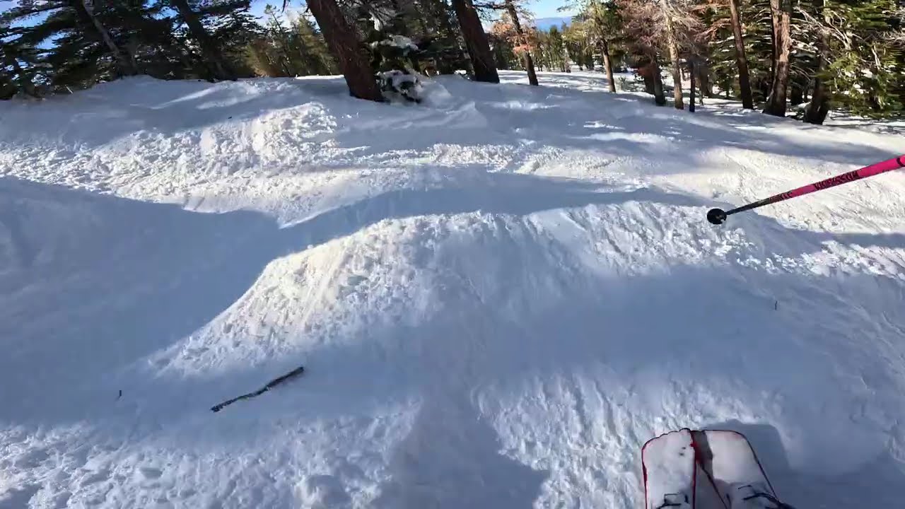 Whit Skiing_Heavenly Tree Run_22Feb2026