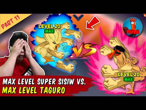 Max Level Super Sisiw at Taguro Sino Mas Malakas?! - Manok na Pula Part 11
