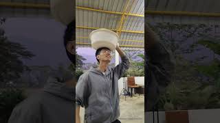 Carrying a Bowl Under the Roof