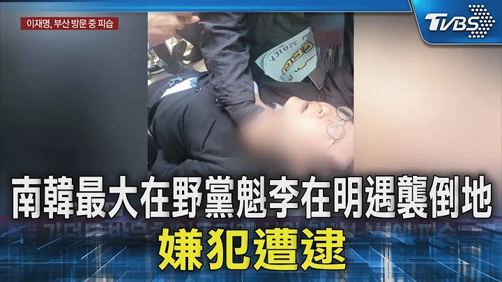 韩国最大在野党魁李在明遇袭倒地 嫌犯遭逮｜TVBS新闻 @TVBSNEWS02 - 天天要闻