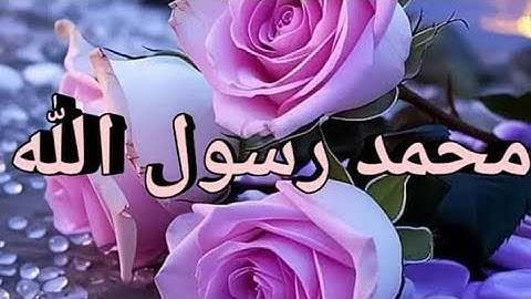 سوره نوح