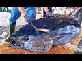 Fastest cutting speed！Giant Bluefin Tuna Cut in 5 minutes, Braised Bluefin Tuna Eyes/蘇澳最快刀！巨大黑鮪魚切割技巧