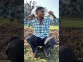  bhai❤️😎 tujhe pata Sher nahin Nahata Hai #funnyvideos 😂😂😂