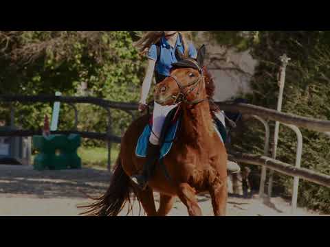 Vidéo: Le Meilleur Sentier D'équitation Dans Le Minnesota, Le Grand Canyon Et Les États-Unis