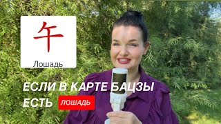 видео: Если вы родились в год Лошади или в вашей карте БаЦзы есть земная ветви Лошадь #бацзы #лошадьбацзы картинка: Если вы родились в год Лошади или в вашей карте БаЦзы есть земная ветви Лошадь #бацзы #лошадьбацзы