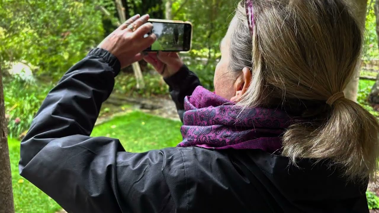 A Colourful Life at The Courts Garden with @helenalicejohnsonartist 