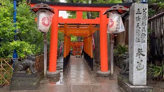 Walking in the Rain in Tokyo: UENO PARK, Shrine &amp; Temple - Rain Sounds, Rain Ambience | ASMR Sleep