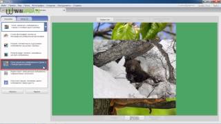Как создать коллаж в Picasa Как создать коллаж в Picasa