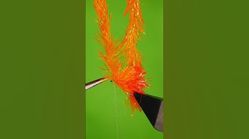 How to tie the Tequila Blob #flyfishing  #fishing #flytying