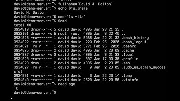 Using variables in BASH