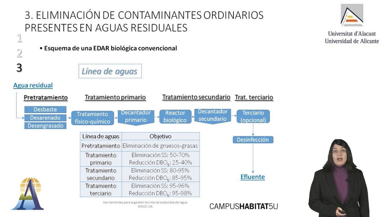 Lección 4.4