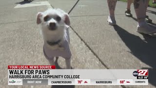 Harrisburg Humane Society breaks $70k fundraising goal, saves over 3,000 animals