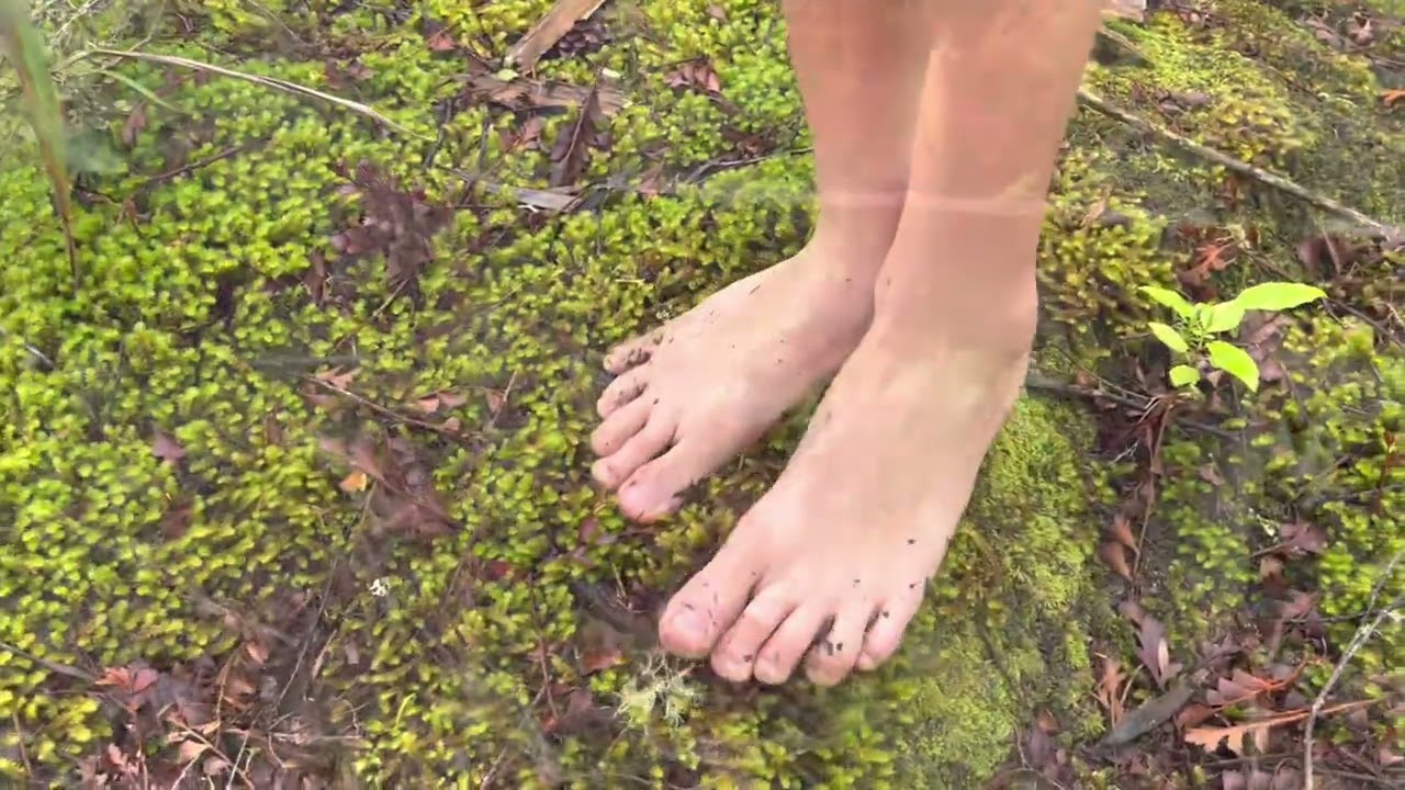 Barefoot Tracks of Whangarei: Ōtaika Valley Walkway