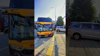 Scania Nusntara Ns01 Yellow Seat 2-1