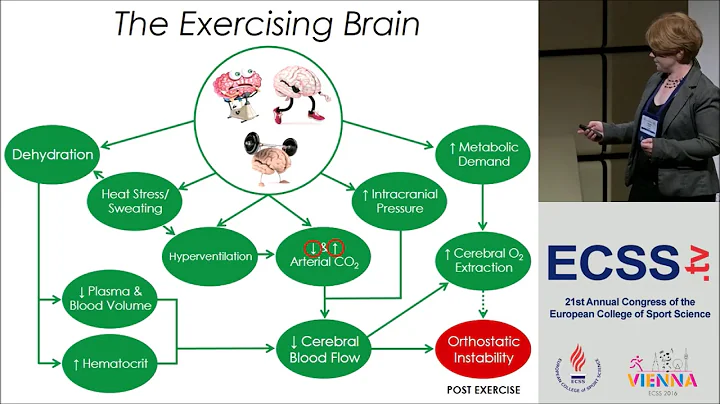 Dehydration and Exercise  Cerebrovascular Control ...