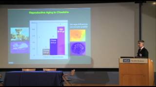 Infertility in Humans and Non-Human Animals -- 2012 Zoobiquity Conference