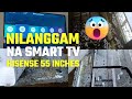 Hisense 55a6100 smart tv  removing ants mrrhin