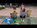 Catching fish with a trident, and take the guinea fowl to the market to sell, daily Highland boy