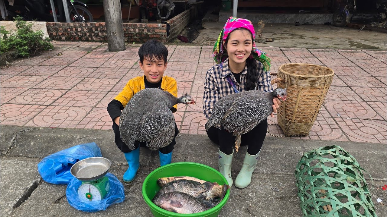 Catching fish with a trident, and take the guinea fowl to the market to sell, daily Highland boy