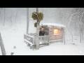 I SURVIVED a -45°F BLIZZARD Trapped Alone in My Off-Grid Cabin! | Extreme Off Grid Winter Life