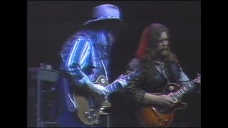 The Allman Brothers Band (Live Roskilde Festival 1991)